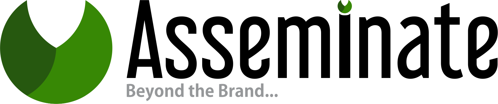 Asseminate Solutions Logo